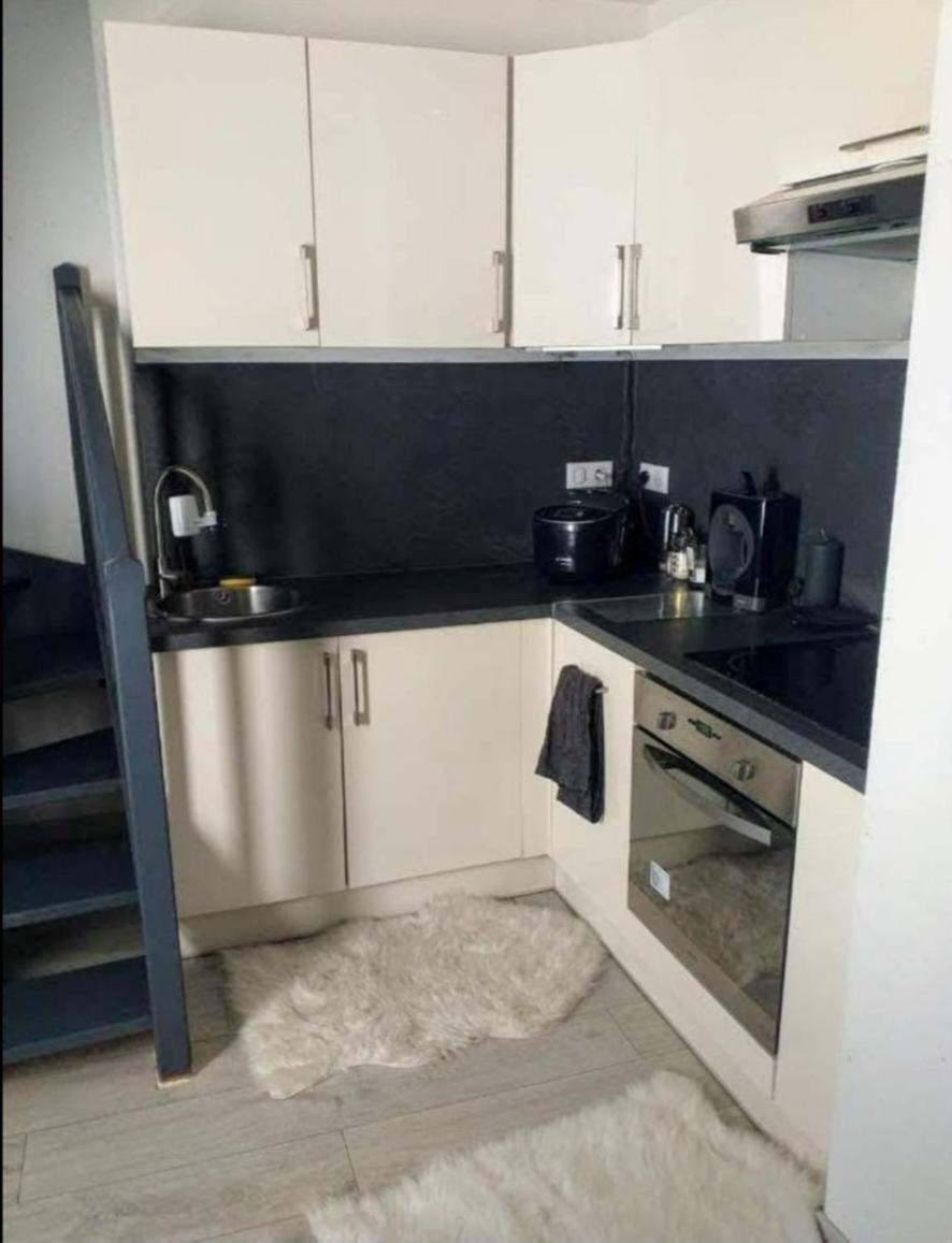 Appartement Attique Страсбург Екстер'єр фото
