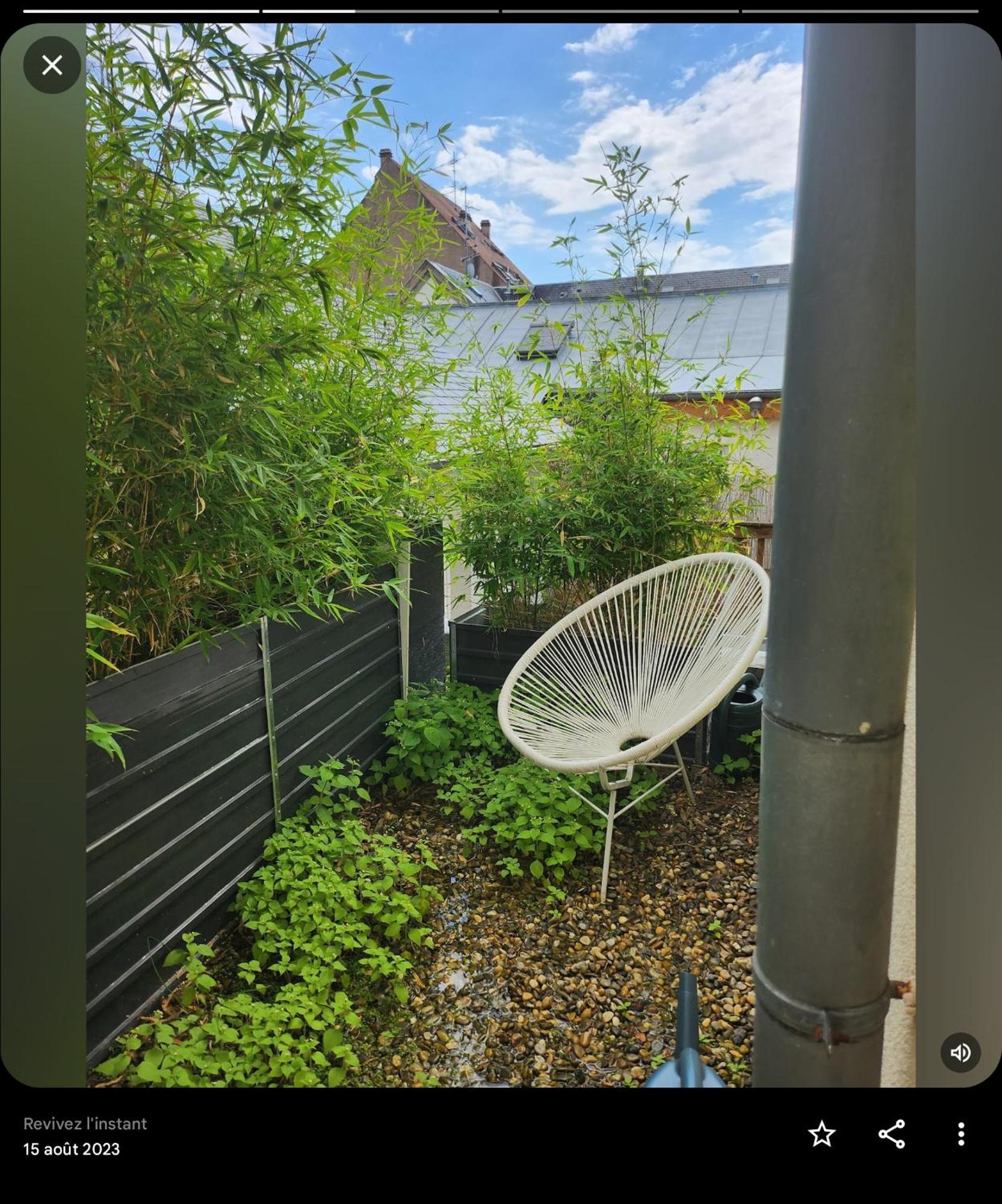 Appartement Attique Страсбург Екстер'єр фото