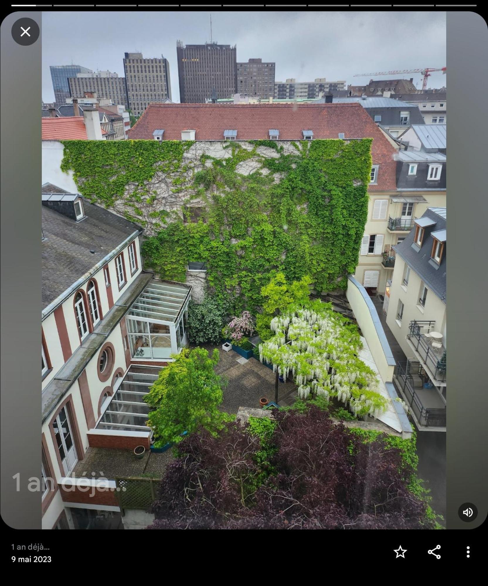 Appartement Attique Страсбург Екстер'єр фото
